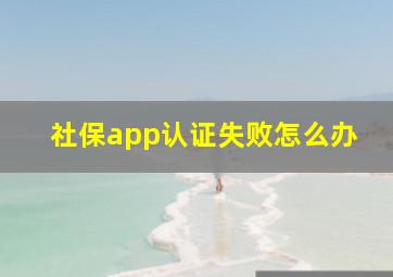 社保app认证失败怎么办