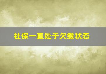 社保一直处于欠缴状态