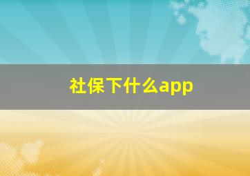 社保下什么app