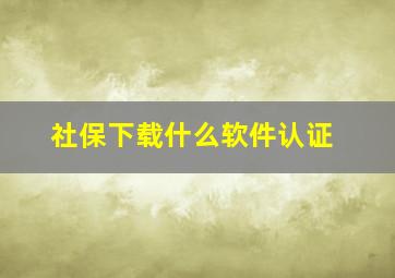 社保下载什么软件认证