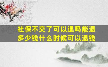 社保不交了可以退吗能退多少钱什么时候可以退钱