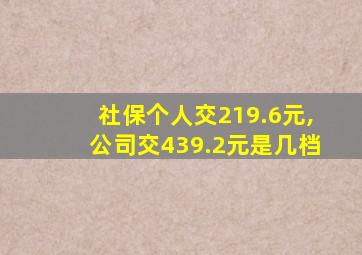 社保个人交219.6元,公司交439.2元是几档