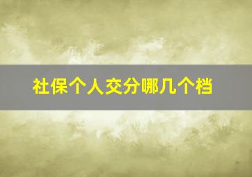 社保个人交分哪几个档