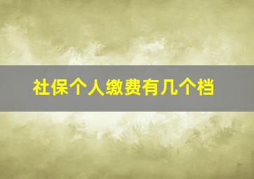 社保个人缴费有几个档