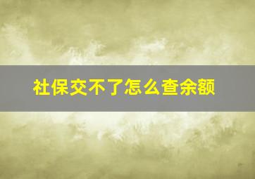 社保交不了怎么查余额