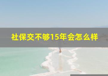 社保交不够15年会怎么样