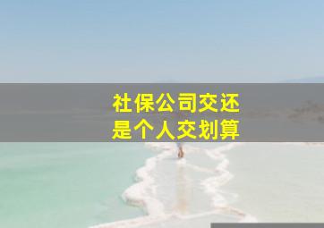 社保公司交还是个人交划算