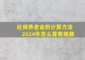 社保养老金的计算方法2024年怎么算呢视频