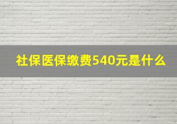 社保医保缴费540元是什么