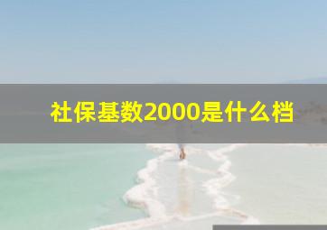 社保基数2000是什么档