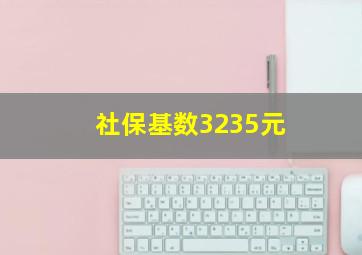 社保基数3235元