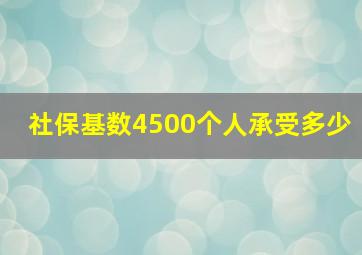 社保基数4500个人承受多少