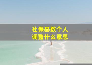 社保基数个人调整什么意思