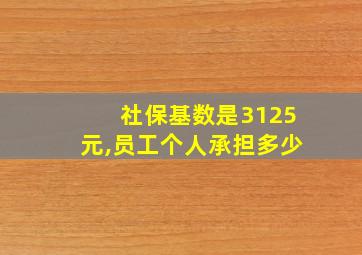 社保基数是3125元,员工个人承担多少