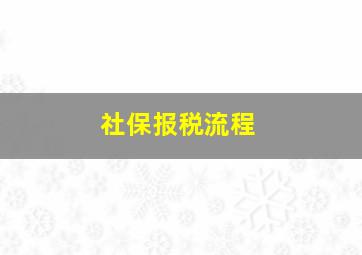 社保报税流程