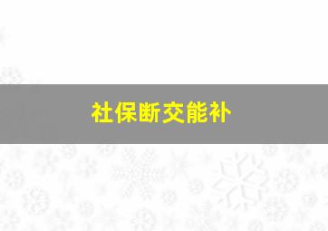 社保断交能补