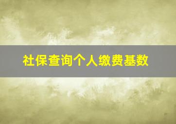 社保查询个人缴费基数