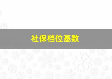 社保档位基数