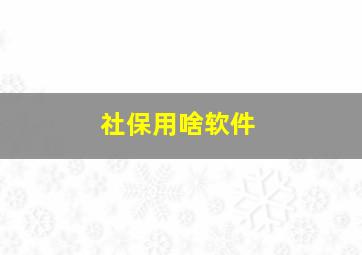 社保用啥软件