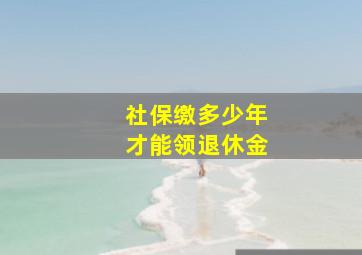 社保缴多少年才能领退休金