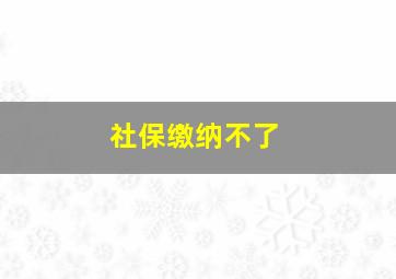 社保缴纳不了