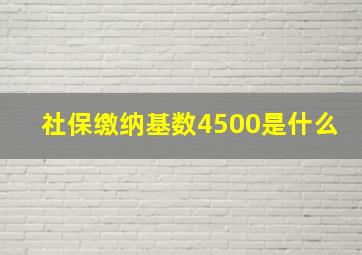 社保缴纳基数4500是什么