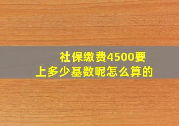 社保缴费4500要上多少基数呢怎么算的