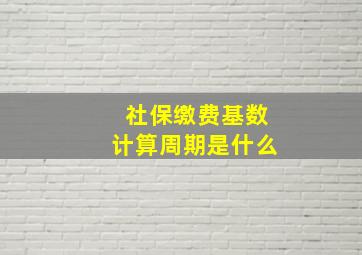 社保缴费基数计算周期是什么