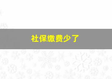 社保缴费少了