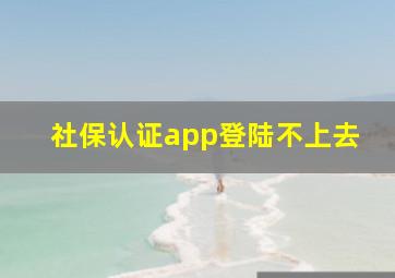 社保认证app登陆不上去