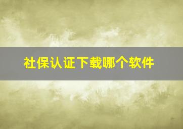 社保认证下载哪个软件