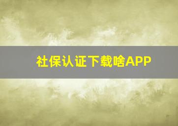 社保认证下载啥APP