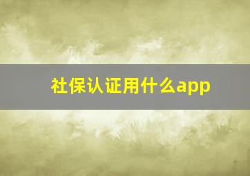 社保认证用什么app