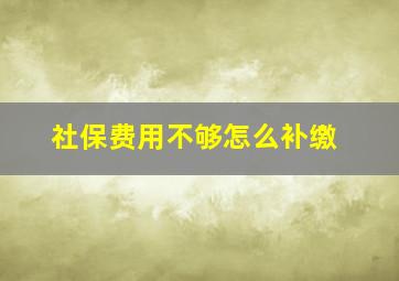 社保费用不够怎么补缴