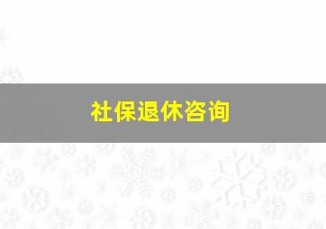 社保退休咨询