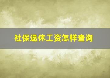 社保退休工资怎样查询