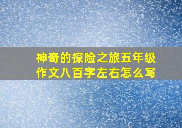 神奇的探险之旅五年级作文八百字左右怎么写