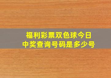 福利彩票双色球今日中奖查询号码是多少号