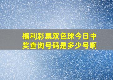 福利彩票双色球今日中奖查询号码是多少号啊