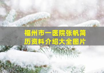 福州市一医院张帆简历资料介绍大全图片