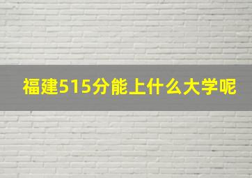 福建515分能上什么大学呢