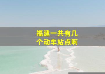 福建一共有几个动车站点啊