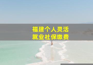 福建个人灵活就业社保缴费