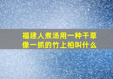 福建人煮汤用一种干草像一抓的竹上柏叫什么