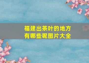 福建出茶叶的地方有哪些呢图片大全