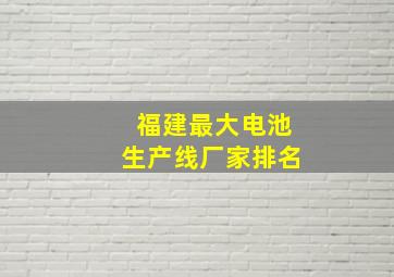 福建最大电池生产线厂家排名