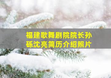 福建歌舞剧院院长孙砾沈亮简历介绍照片