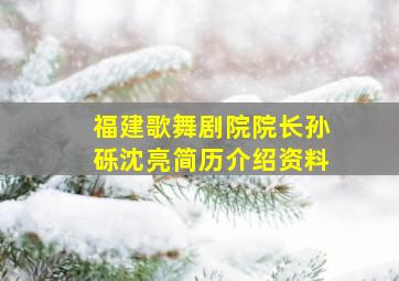 福建歌舞剧院院长孙砾沈亮简历介绍资料