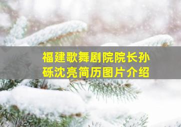 福建歌舞剧院院长孙砾沈亮简历图片介绍