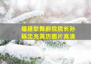 福建歌舞剧院院长孙砾沈亮简历图片高清